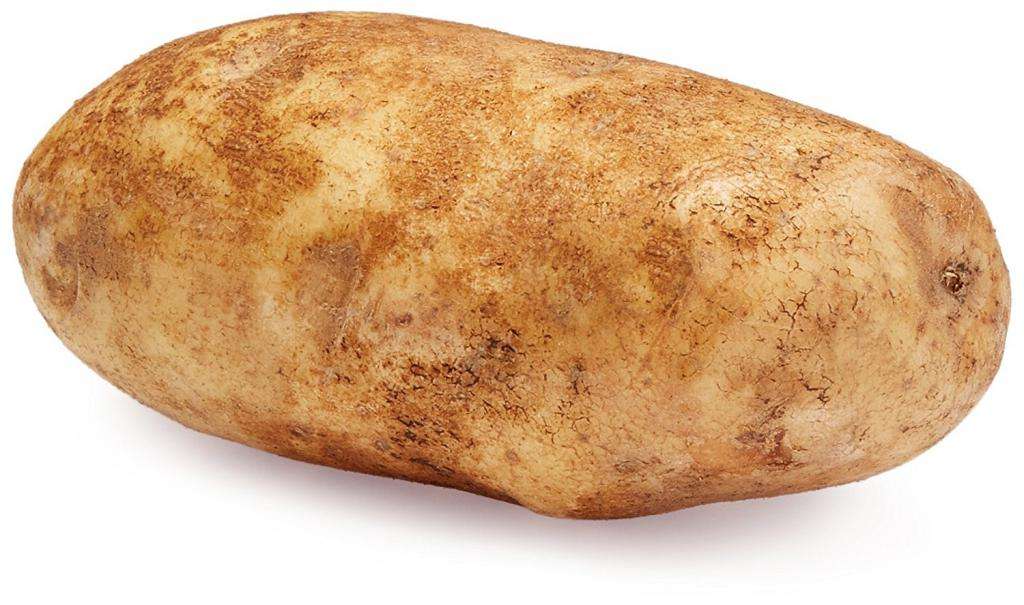 Огромный картофель