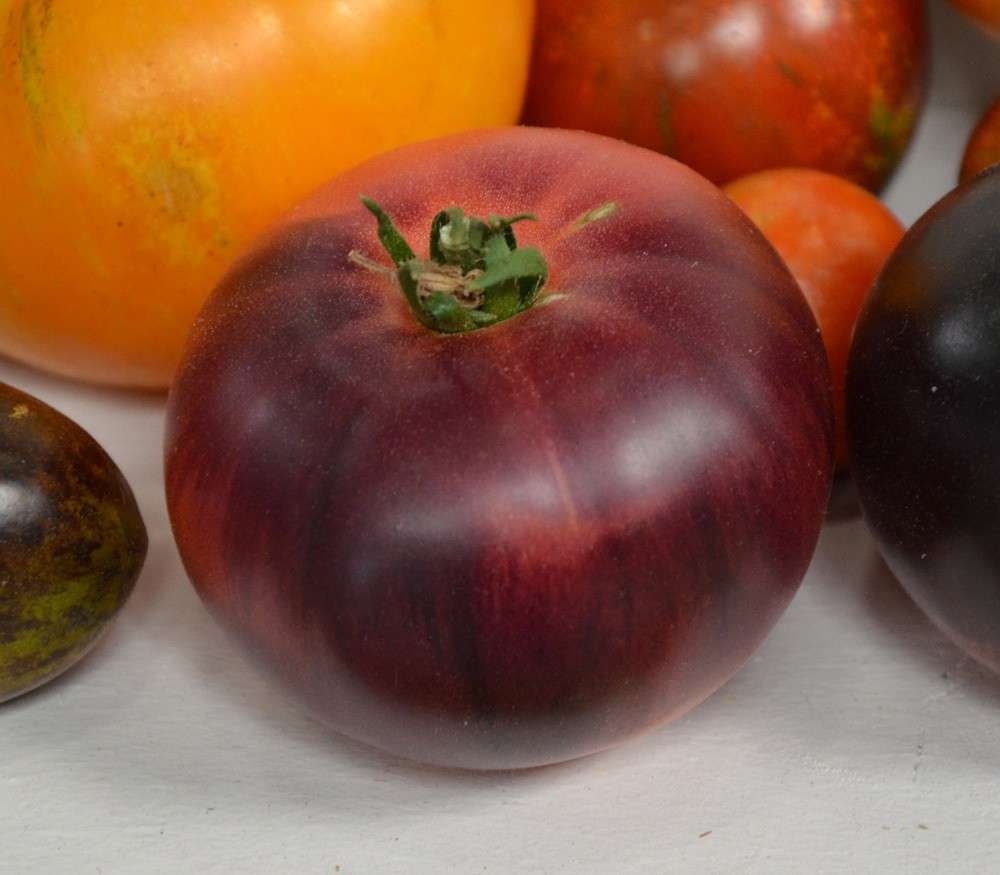 Плоды томатов