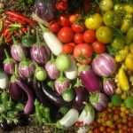 Пасленовые овощи: список популярных представителей семейства