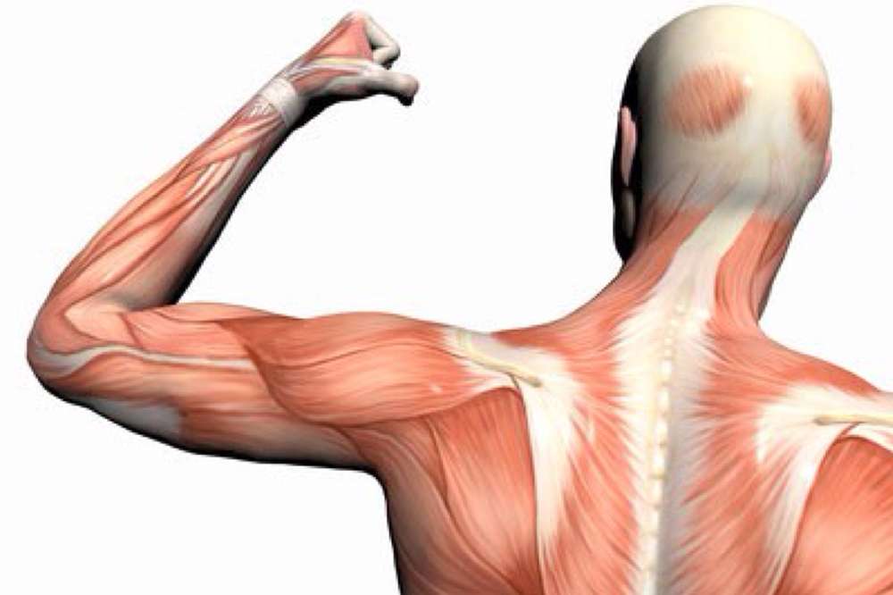Устранение боли в мышцах