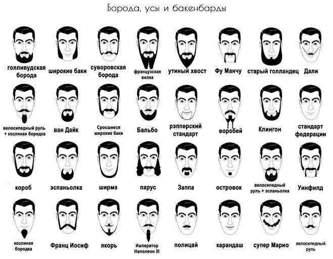 виды бороды